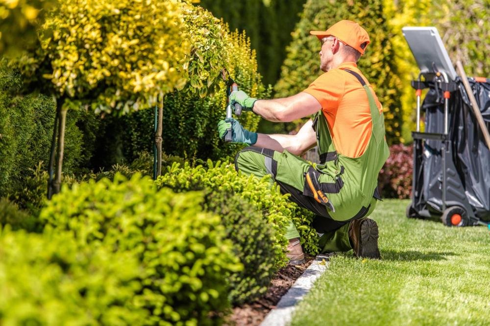 Entretien_de_jardin