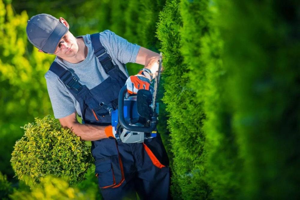 travaux_de_jardinage.jpg